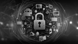 Cybersecurity Frameworks: What Do the Experts Have to Say?